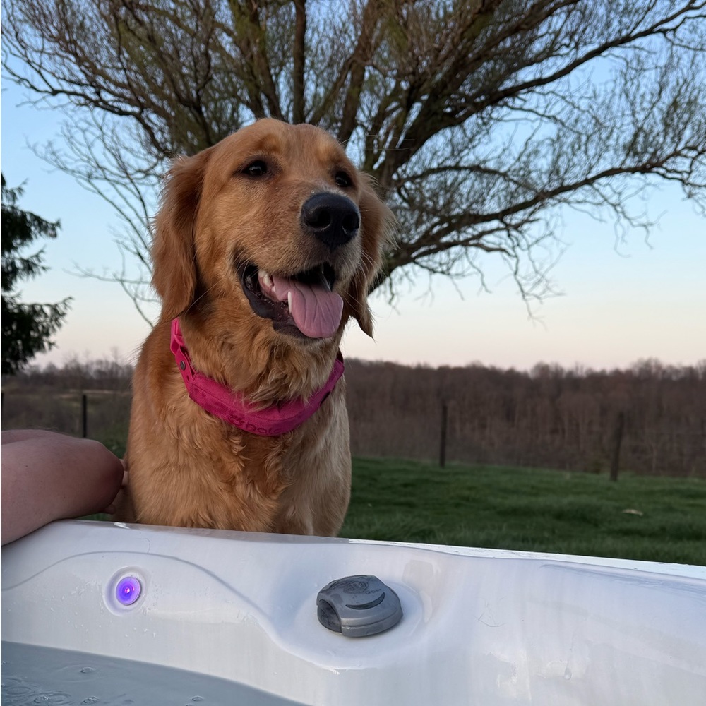 Meet your Posher, Marla